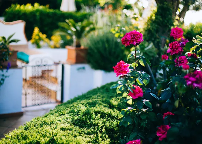 Il Giardino Dell'arte Anacapri (Isola di Capri)