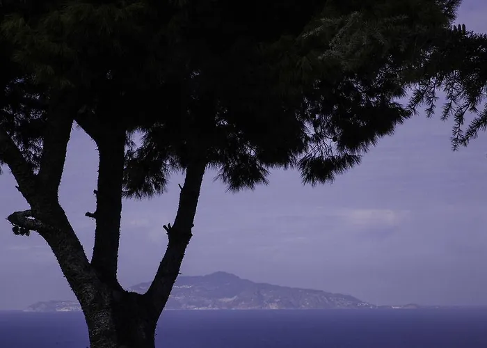 Il Giardino Dell'arte Bed and breakfast Anacapri (Isola di Capri)