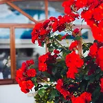 Il Giardino Dell'arte 4*