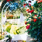 Bed & Breakfast Il Giardino Dell'arte 4*