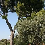 Il Giardino Dell'arte Bed & Breakfast