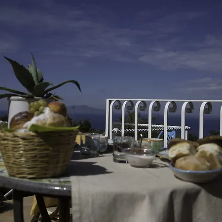 Il Giardino Dell'arte 4* Anacapri (Isola di Capri)