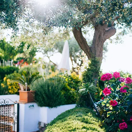 Il Giardino Dell'arte B&B 아나카프리