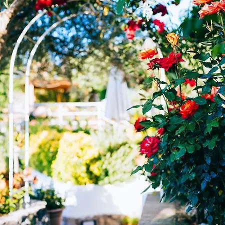 Bed & Breakfast Il Giardino Dell'arte 4*