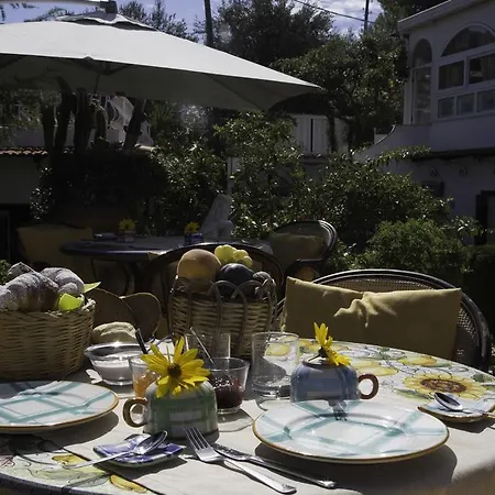 Il Giardino Dell'arte B&B 아나카프리