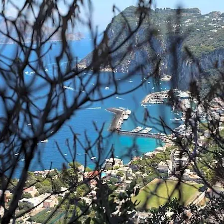 Il Giardino Dell'arte