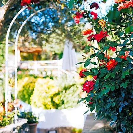 Il Giardino Dell'arte 아나카프리