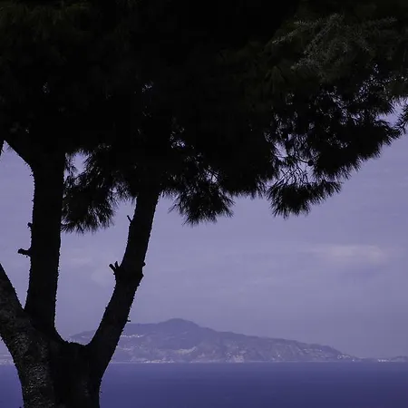 Il Giardino Dell'arte Frühstückspension Anacapri (Isola di Capri)