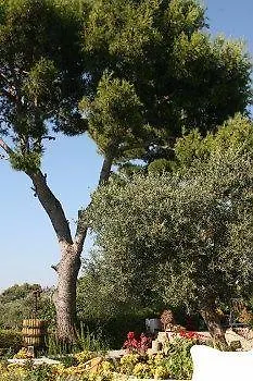Il Giardino Dell'arte Frühstückspension