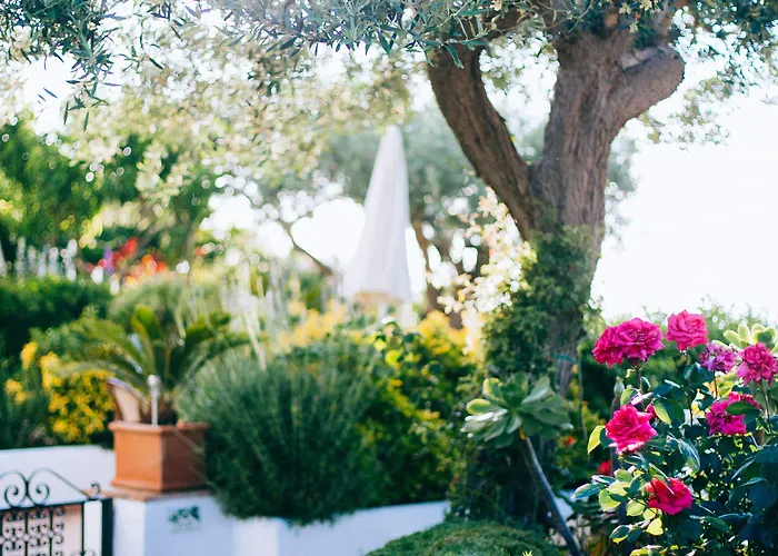 Il Giardino Dell'arte Panzió Anacapri
