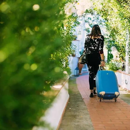 Il Giardino Dell'arte Nocleg ze śniadaniem Anacapri (Isola di Capri)