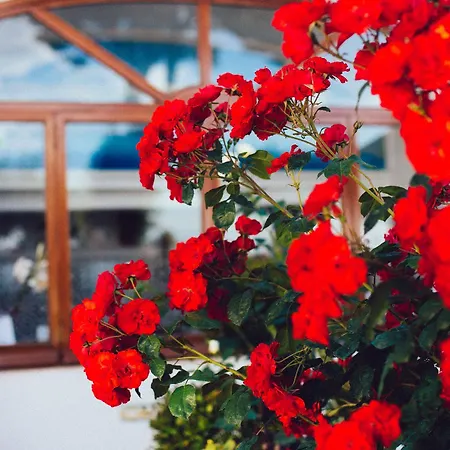 Il Giardino Dell'arte Nocleg ze śniadaniem