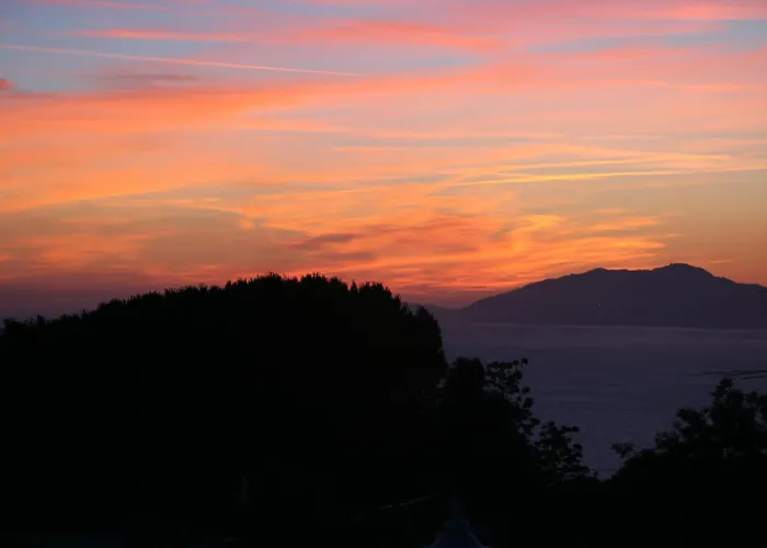 Bed & Breakfast Il Giardino Dell'arte 4*