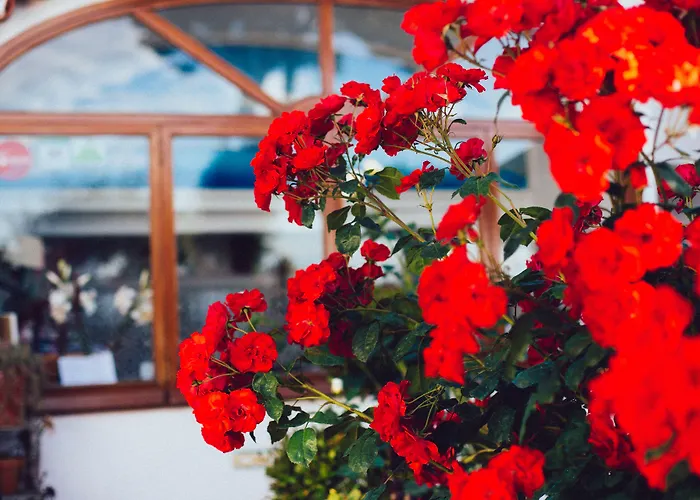 Il Giardino Dell'arte 4*